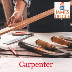 Carpenter Mr. Dibyendu Dhara in Durgapur Project B Zone